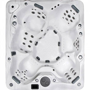 Спа бассейн PDC Spas - Biscayne